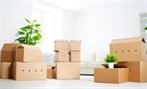 Image result for Professional removals and their importance