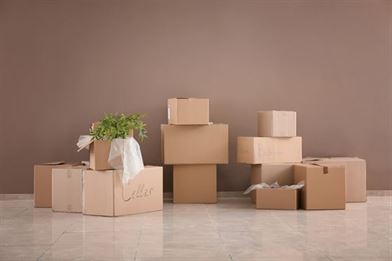 Storage boxes