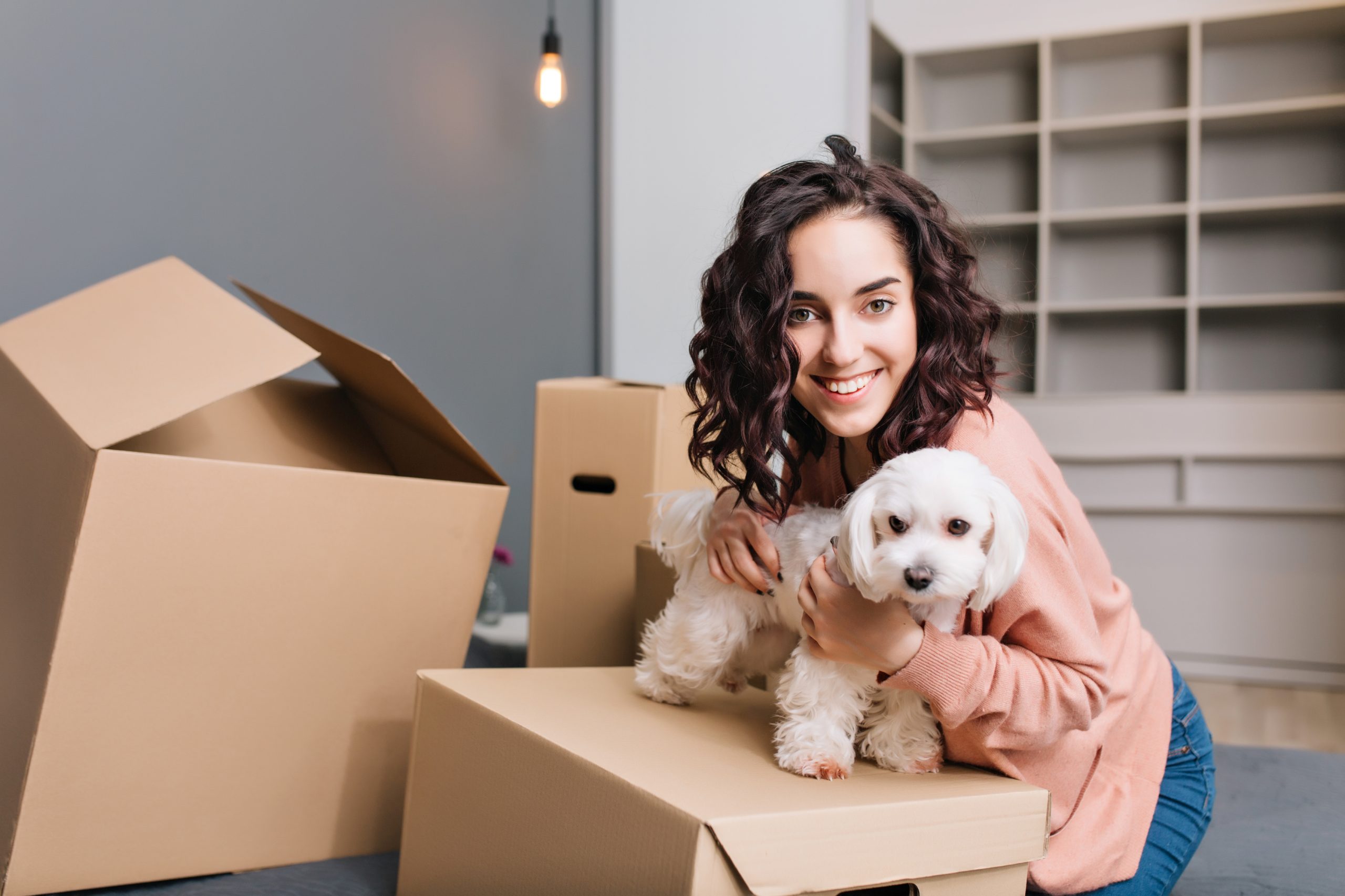 Preparing pet dog to for a move